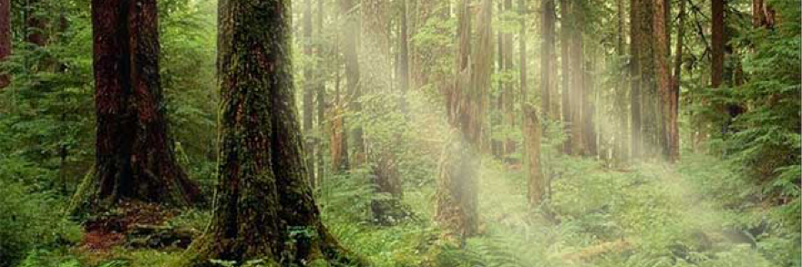Paul_Offhaus's profile banner image