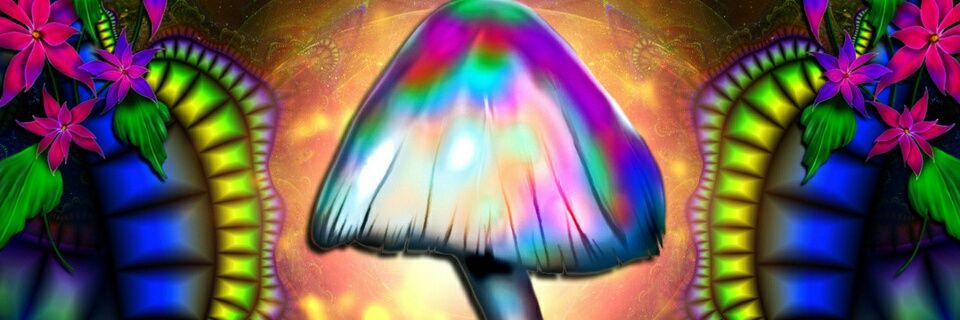 DaultonCarp's profile banner image