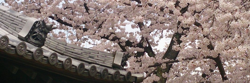 hiro5268's profile banner image
