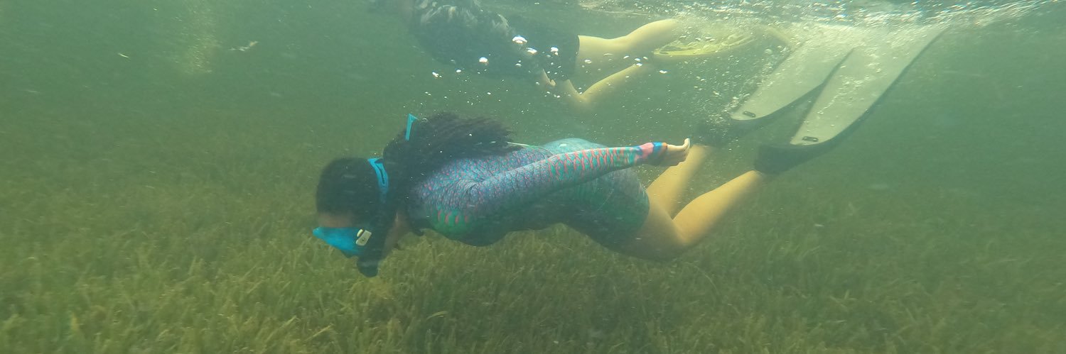 🦈Shark Lady🦈 banner