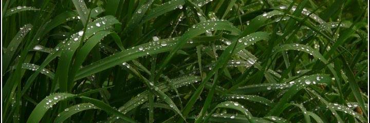 JeanLynen's profile banner image