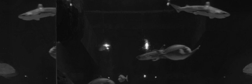 sev7nlan's profile banner image