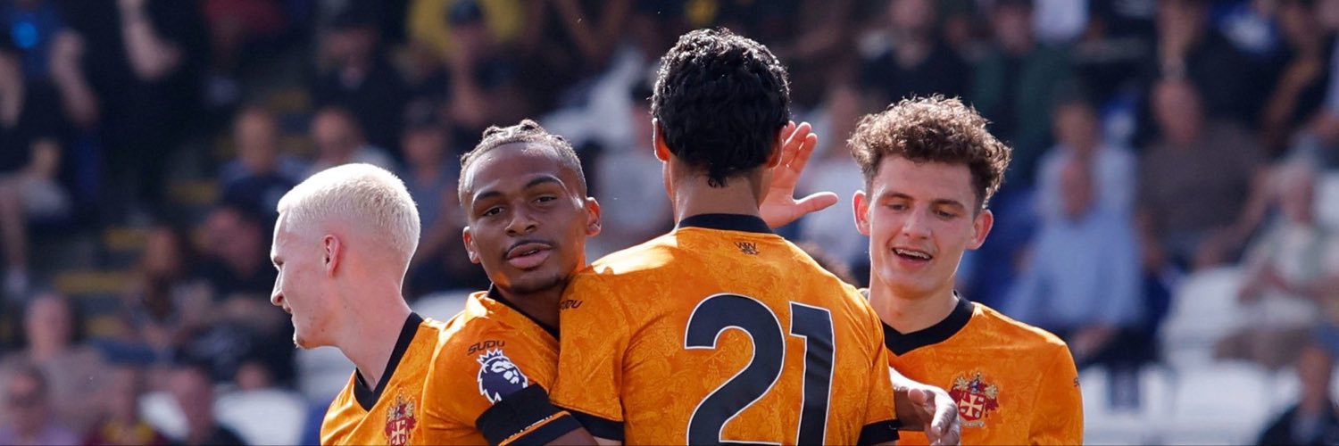 WolvesAcademy's profile banner image