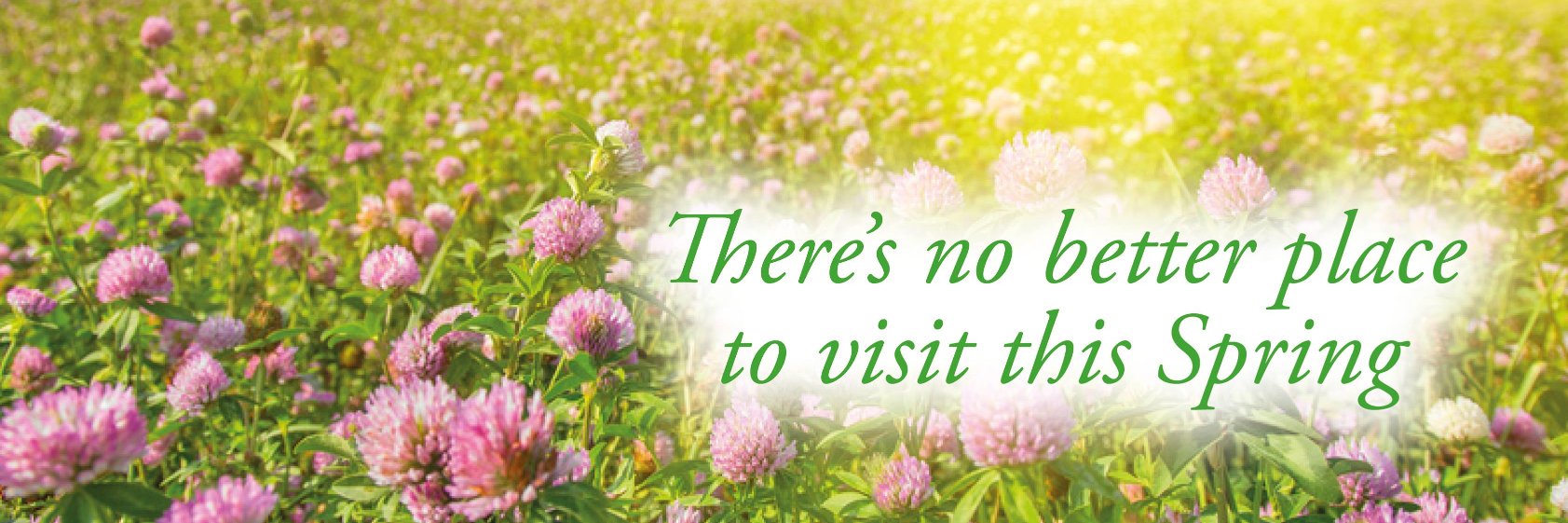 FossewayGC's profile banner image