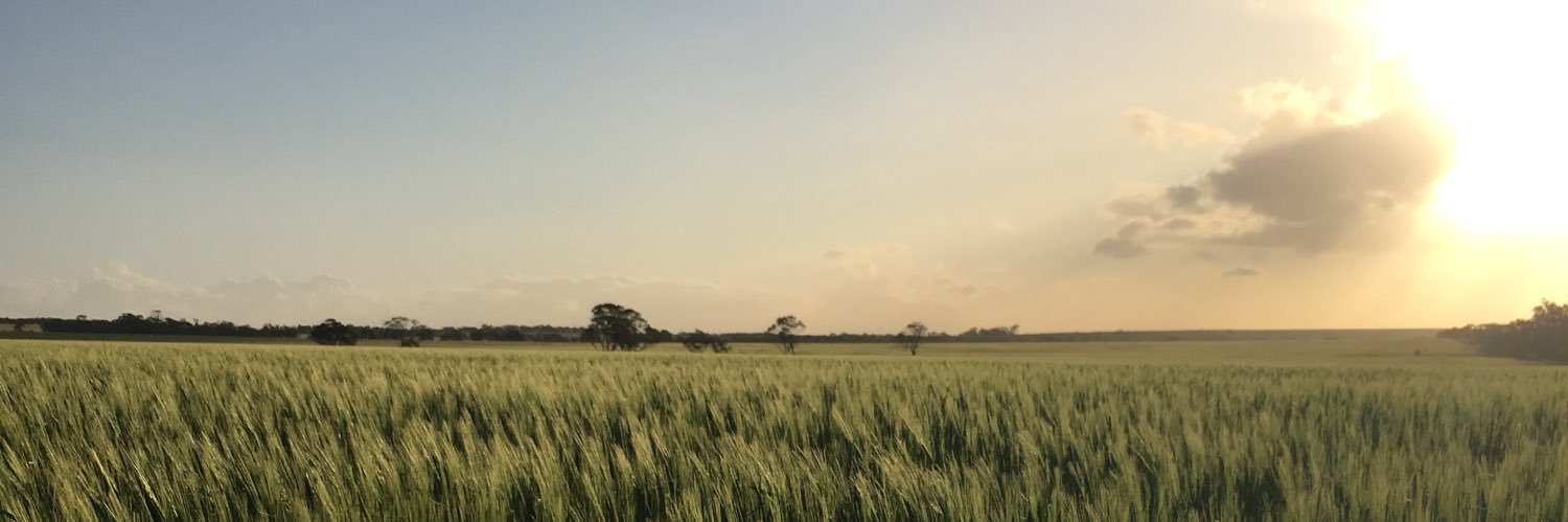 Zac banner