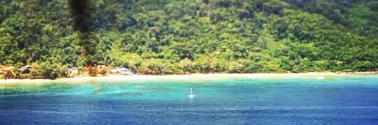 Daniel Whittington banner