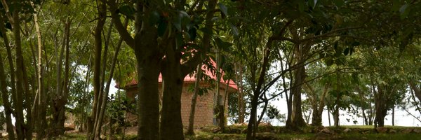 KuteesaV Profile Banner