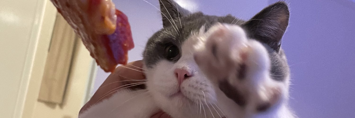 Pearsykat's profile banner image
