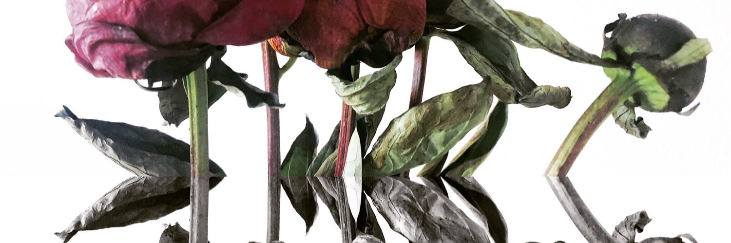 allvall's profile banner image