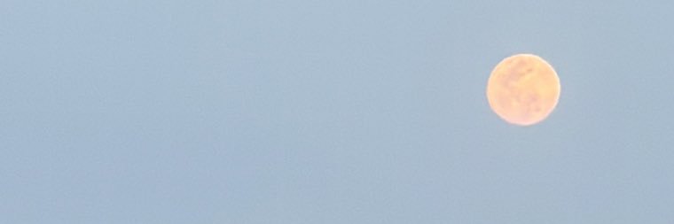 🌱 banner