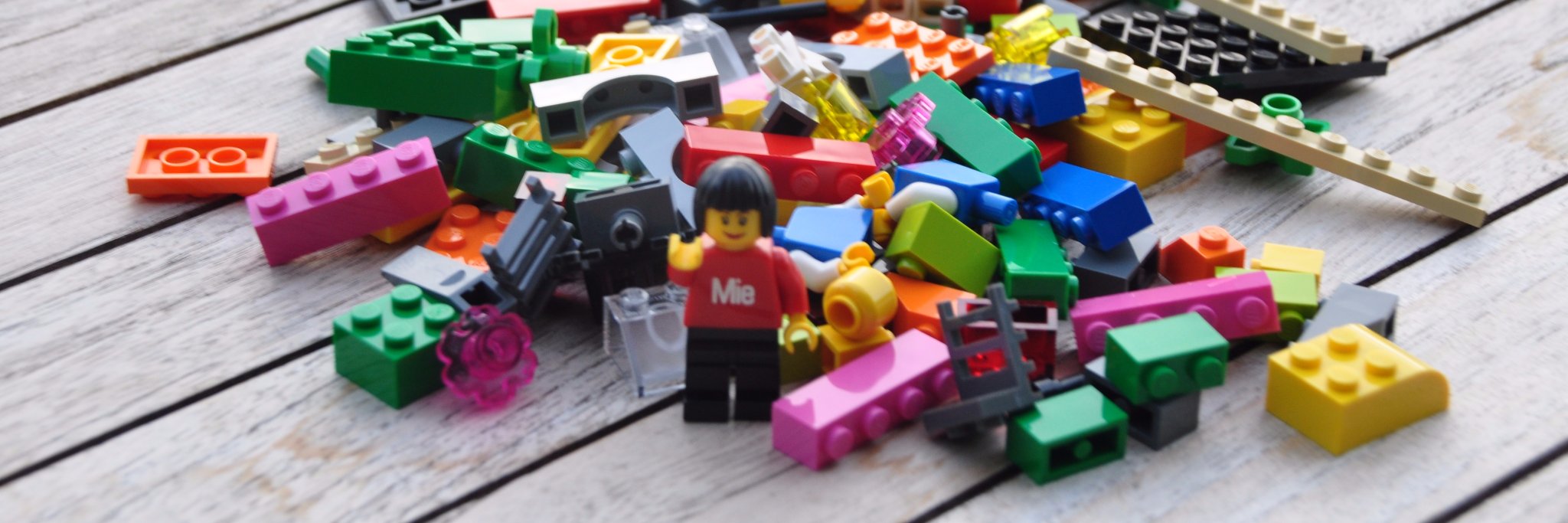 miebricksbrains's profile banner image