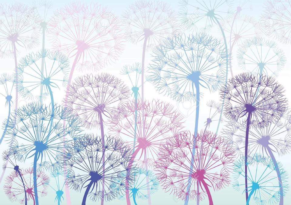 Nikki 🫶💜 banner