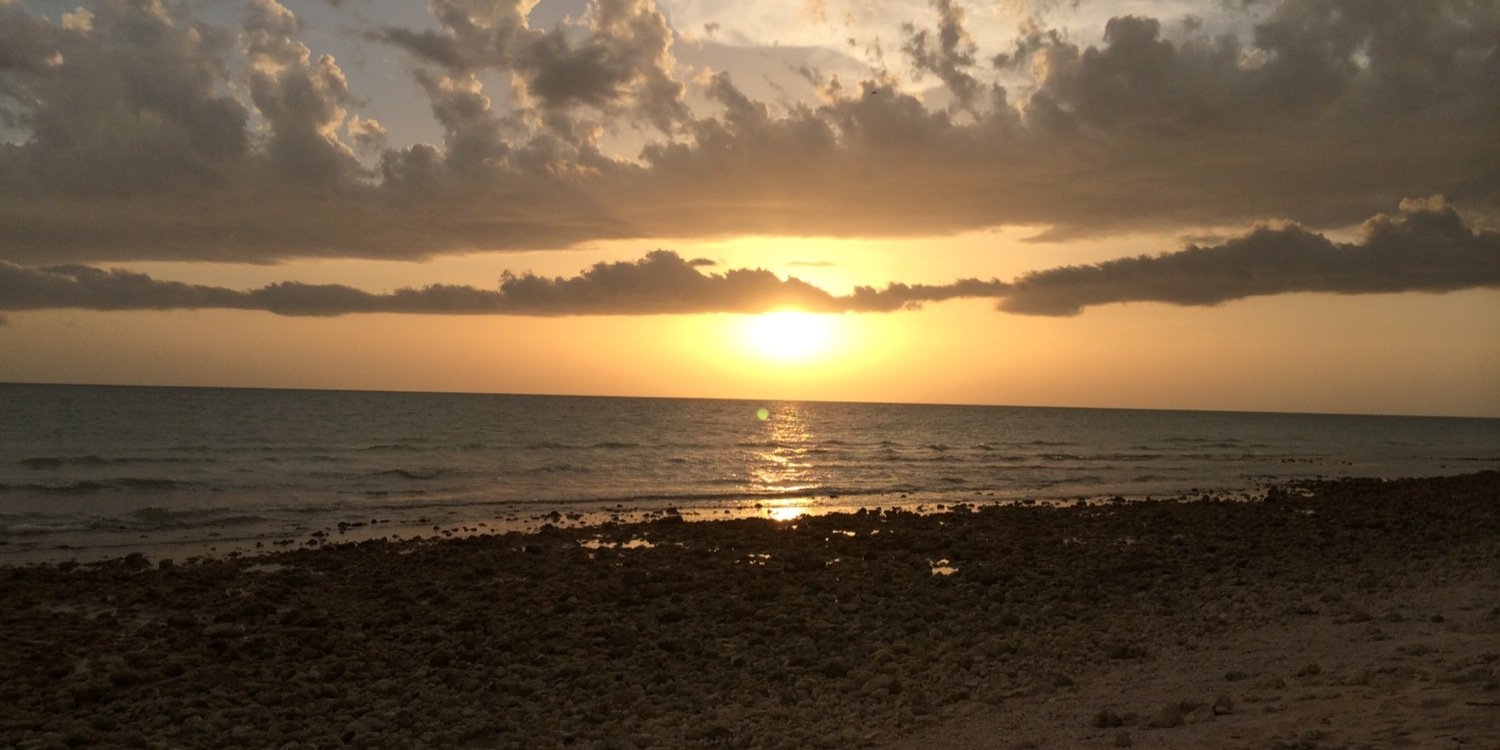 meltaylor112's profile banner image