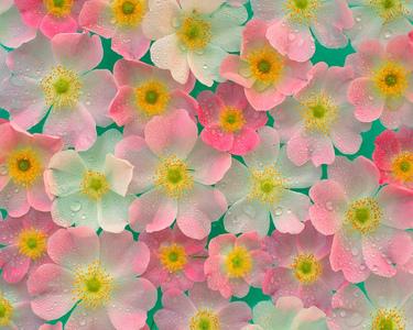 WiwilS's profile banner image