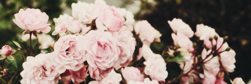 ineedyyya's profile banner image
