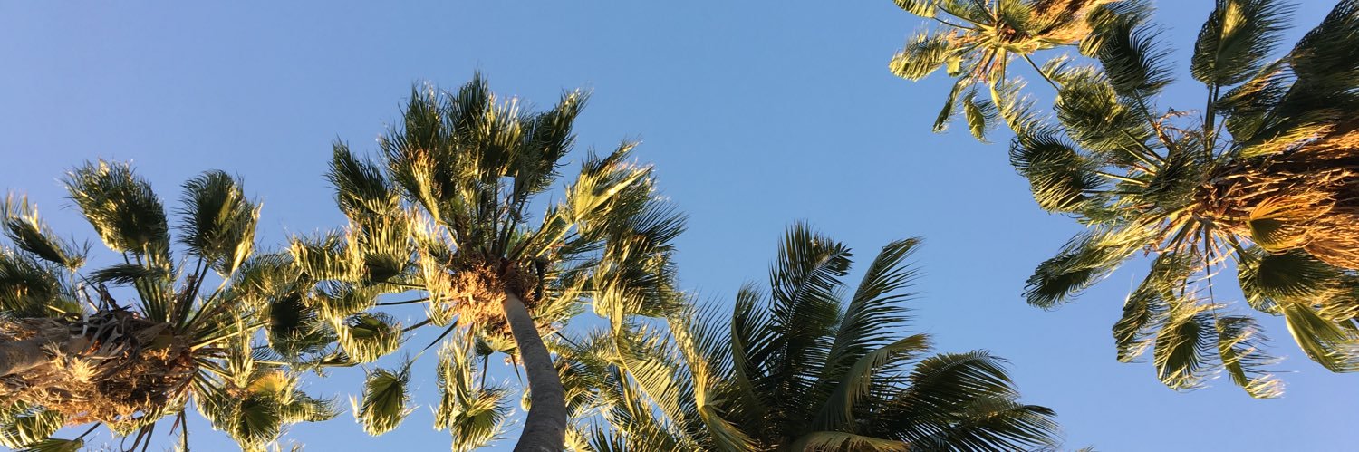 feraluj's profile banner image