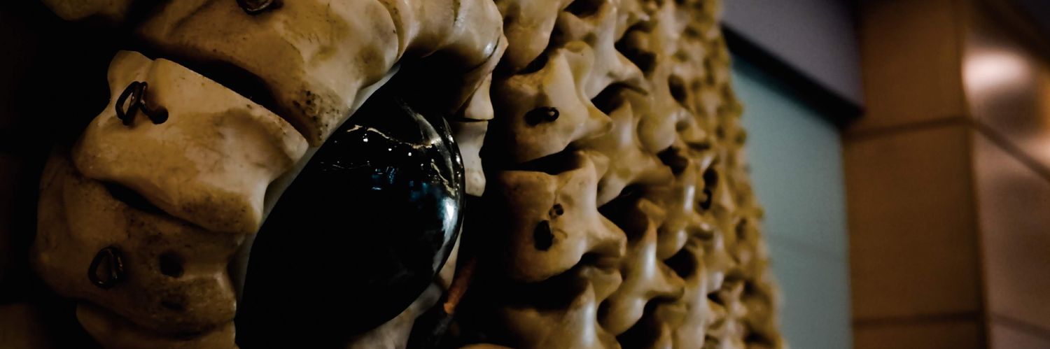 ave_m1tra's profile banner image