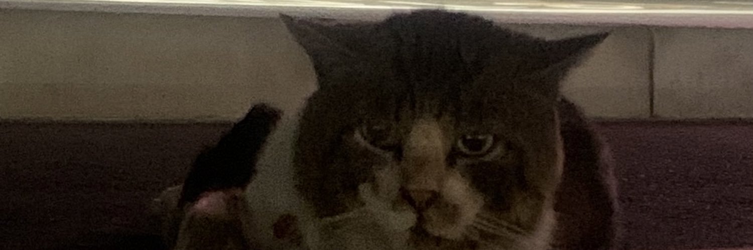 おれ！！！ banner