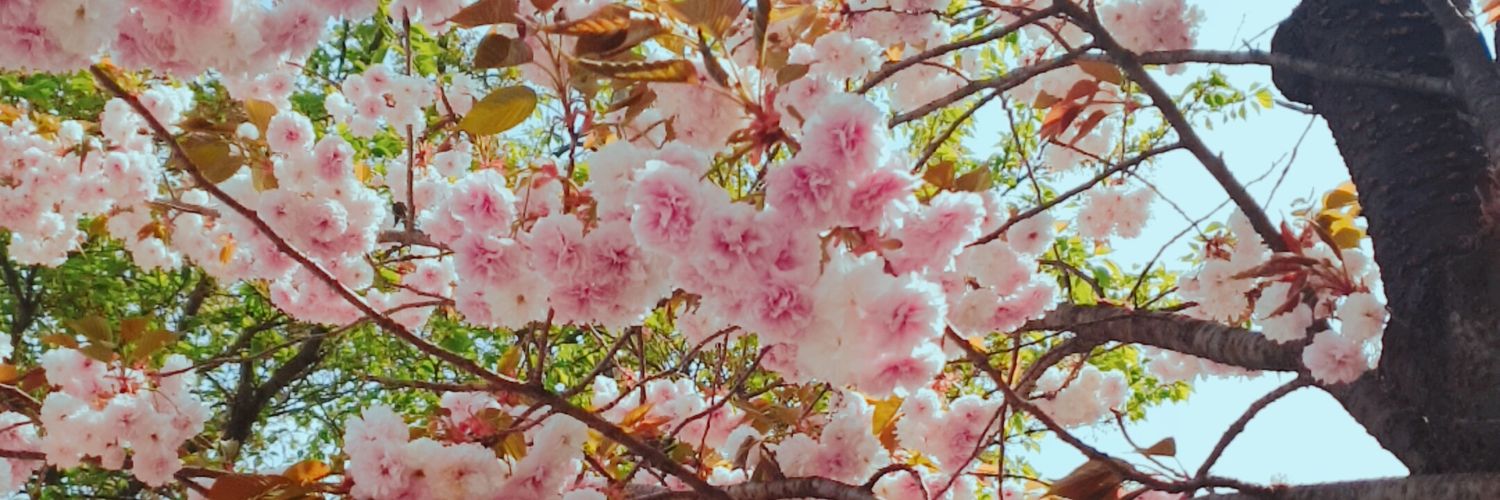 agogos009's profile banner image