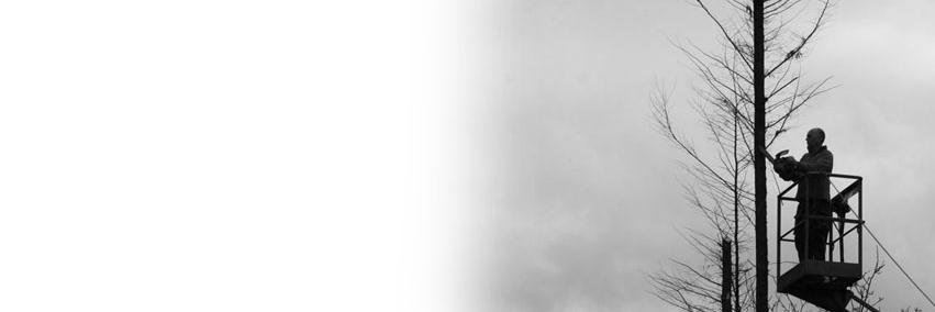stompingsoul's profile banner image
