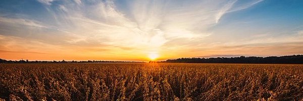 JonesForAR Profile Banner