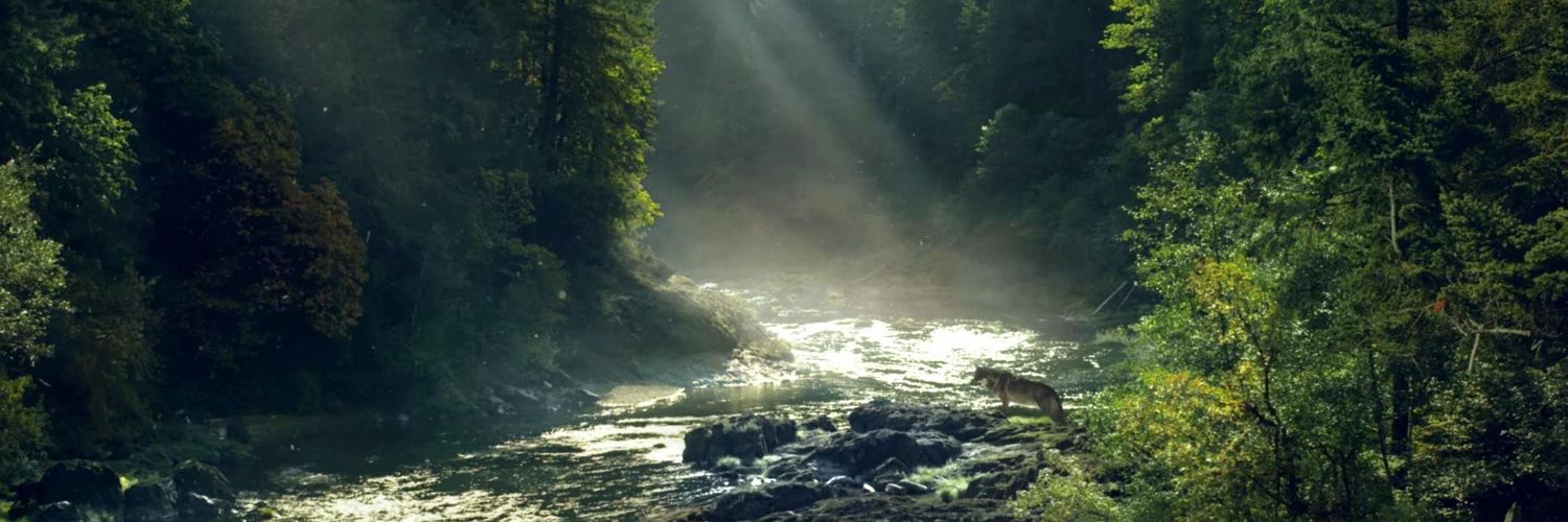 AlwaysElevating's profile banner image