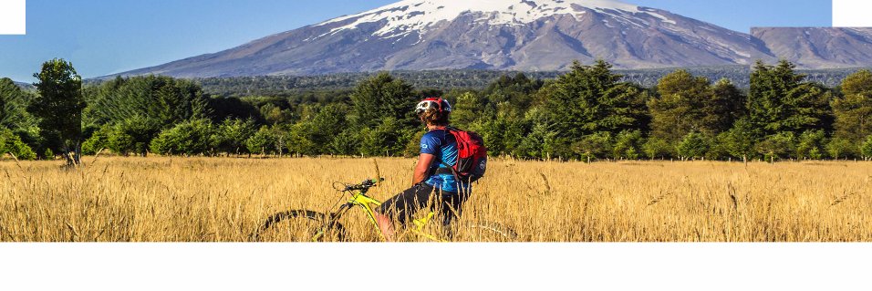 webtt_vtt's profile banner image