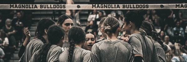 MagnoliaVBALL Profile Banner
