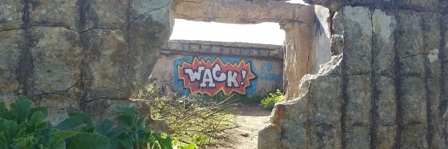 Whimsy banner