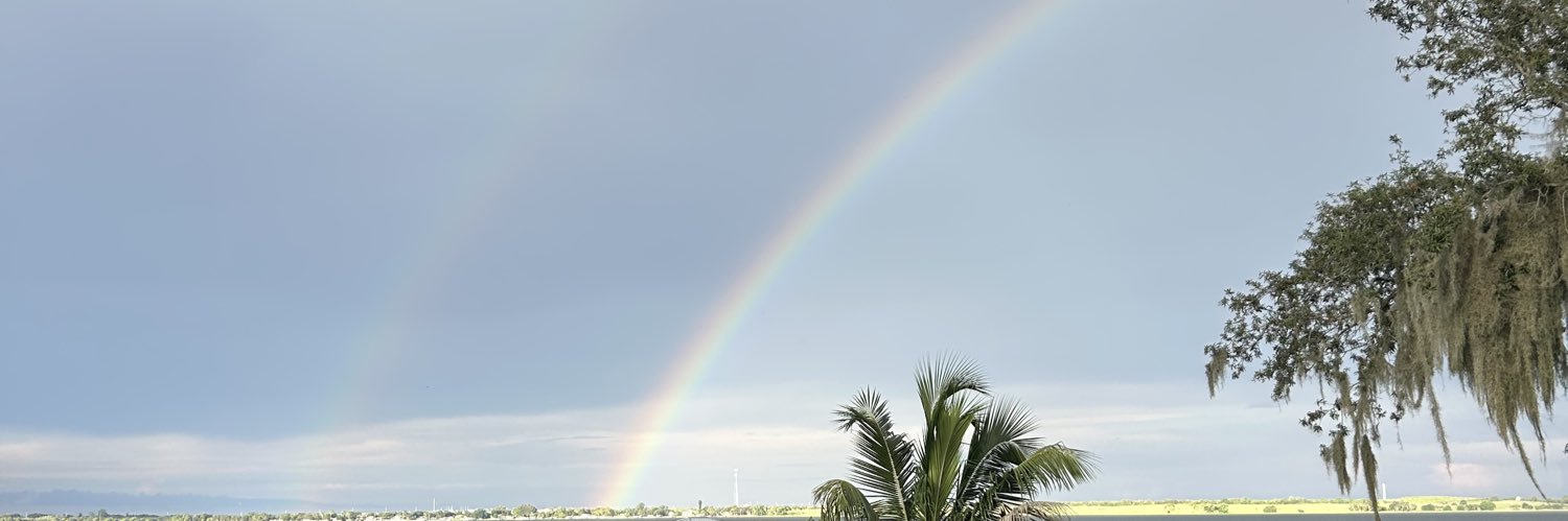 PinkFrigayy's profile banner image