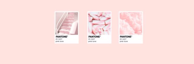 โดนแปมอ่านbio🤦🏻‍♀️ banner