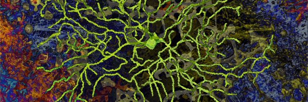 AizenmanLab Profile Banner