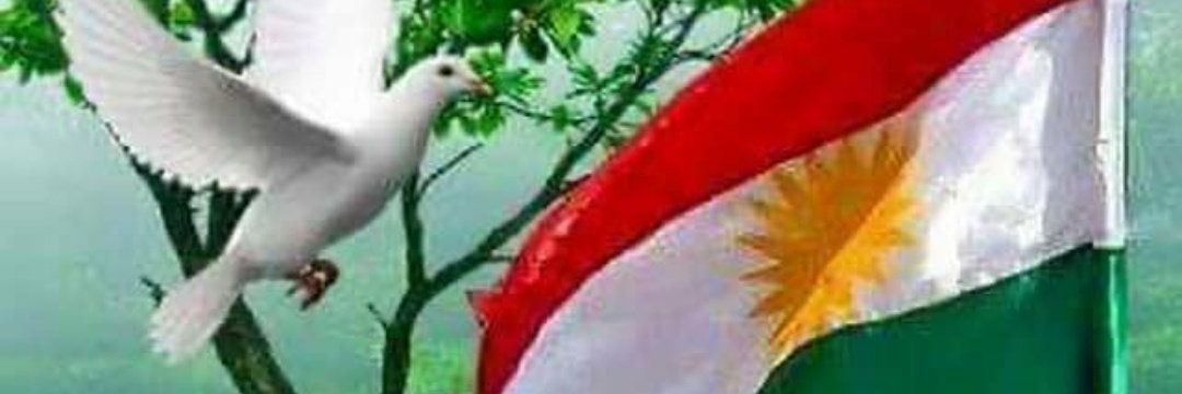 Majedalkurdi5's profile banner image