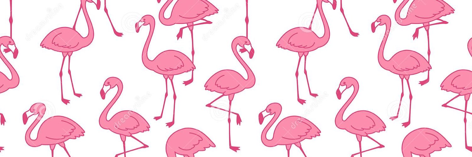 Laur 🦩 banner