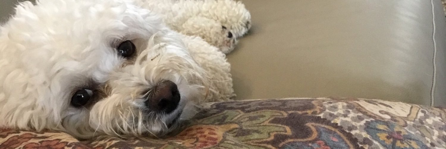 maddymads10's profile banner image
