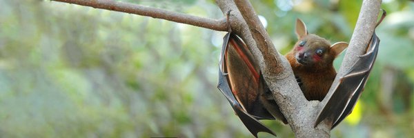 SubuserDale Profile Banner