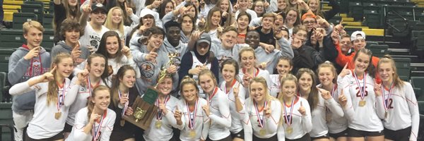 PaduaBruinsVB Profile Banner