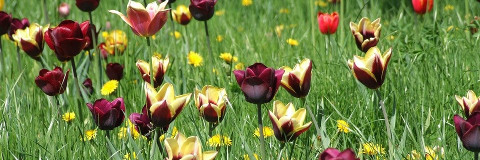 Marilisa666 ()🐈‍⬛🐈‍⬛(🐈‍⬛🐈‍⬛) banner