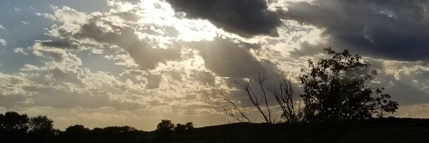 stephsoundoff's profile banner image