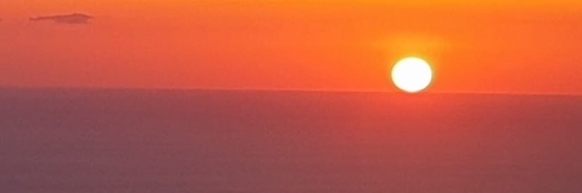 Meaculpaps's profile banner image