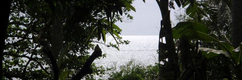 MikeStay's profile banner image