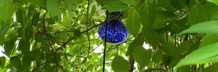 Ms Maxine💖🦋🟦 banner