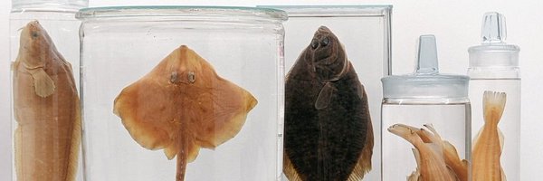 NatHistConserve Profile Banner