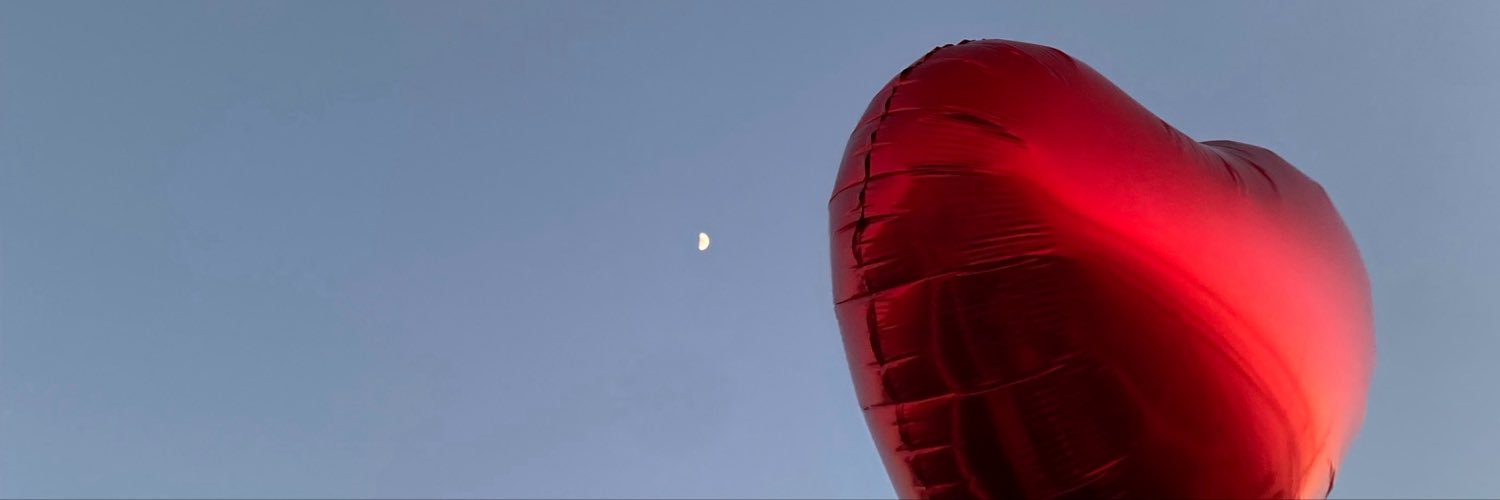 devrimsekerr's profile banner image