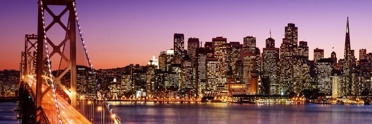 TheCollective Search banner