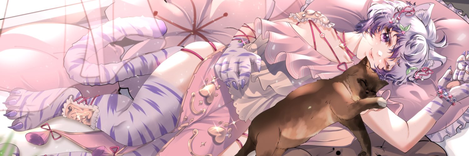 VelvetTygrysa's profile banner image
