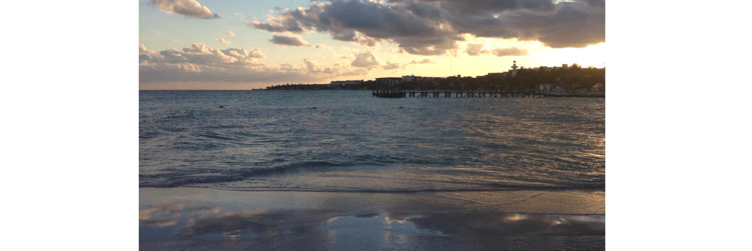 ivannasanchez's profile banner image