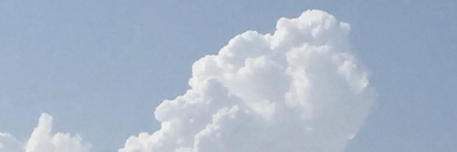 nnn800's profile banner image