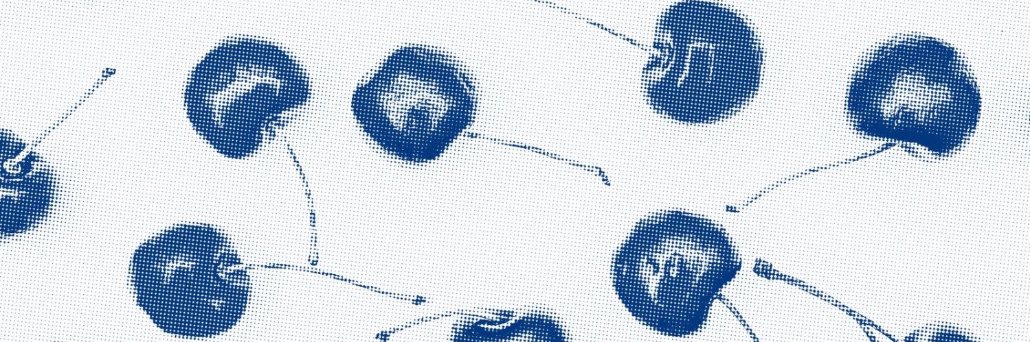 messyflorist's profile banner image