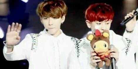 mojiboo's profile banner image